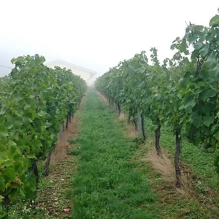 Weis 호텔 멜터스돌프