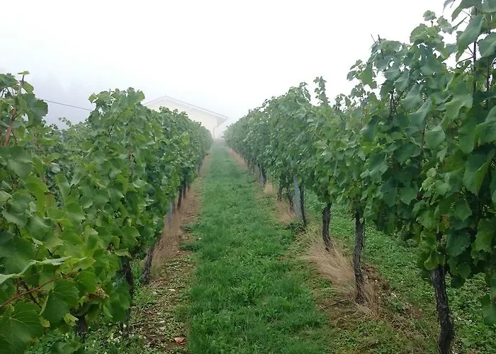 Weis فندق Mertesdorf